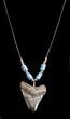 Polished Megalodon Tooth Necklace #36571-1